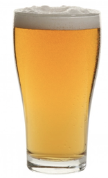 [POS Product Group] Slipstream Pale Ale